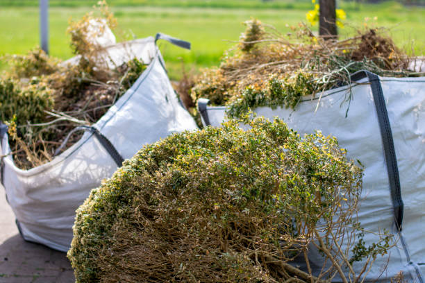 Best Residential Junk Removal  in Captain Cook, HI